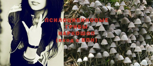 mdpv Липки