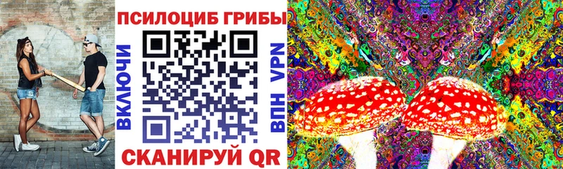 закладки Михайловск дарк нет официальный сайт Псилоцибиновые грибы Magic Shrooms