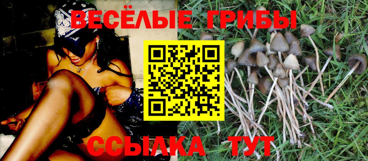 Галлюциногенные грибы мухоморы  Вход с VPN  Михайловск  Псилоцибиновые грибы MAGIC MUSHROOMS 