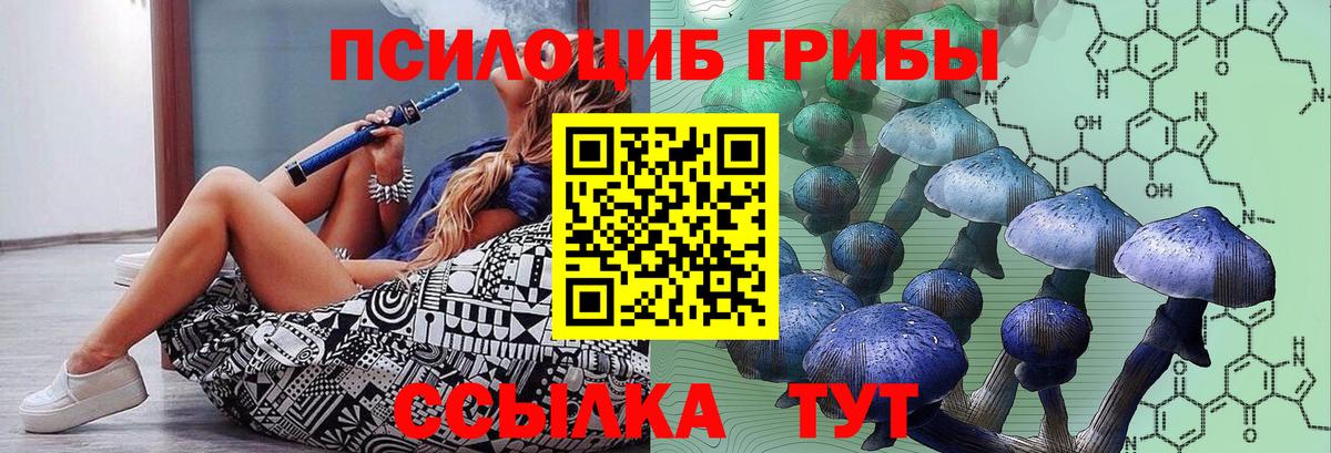 Псилоцибиновые грибы GOLDEN TEACHER Михайловск