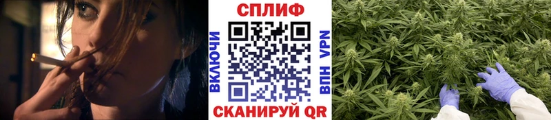 купить закладку  Михайловск  Конопля OG Kush 